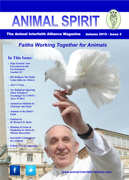 Animal Spirit Magazine