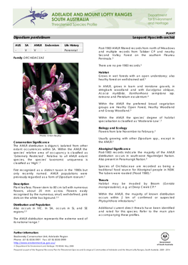 Dipodium Pardalinum Leopard Hyacinth-Orchid