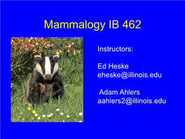 Mammalogy IB 462