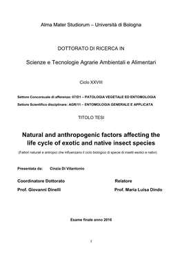 Natural and Anthropogenic Factors Affecting the Life Cycle of Exotic and Native Insect Species