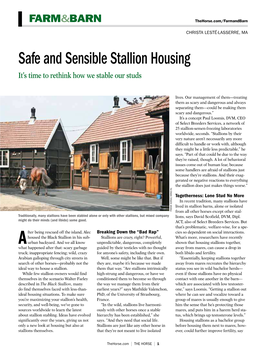 Safe and Sensible Stallion Housing It’S Time to Rethink How We Stable Our Studs