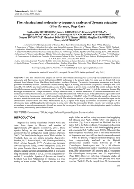 First Classical and Molecular Cytogenetic Analyses of Sperata Acicularis (Siluriformes, Bagridae)