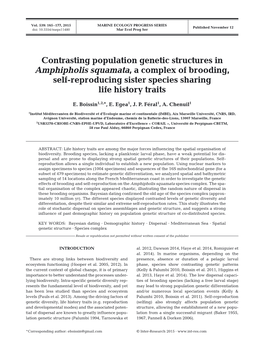 Contrasting Population Genetic Structures in Amphipholis Squamata, a Complex of Brooding, Self-Reproducing Sister Species Sharing Life History Traits