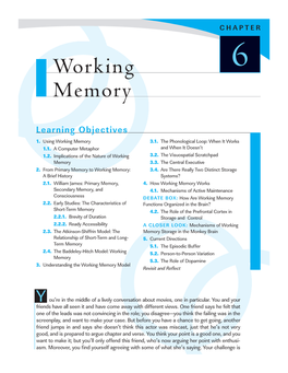 Working Memory 3.1