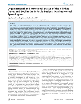 Organizational and Functional Status of the Y-Linked Genes and Loci in the Infertile Patients Having Normal Spermiogram