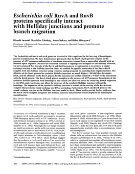 Proteins Specifically Interact with Holliday Junctions and Promote Branch Migration