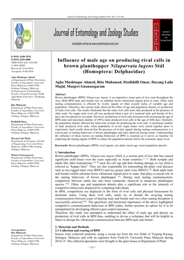 Influence of Male Age on Producing Rival Calls in Brown Planthopper