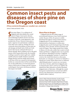 Common Insect Pests and Diseases of Shore Pine on the Oregon Coast (Pinus Contorta Douglas Ex