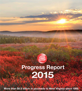 2015 Progress Report