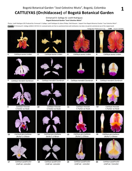 Of Bogotá Botanical Garden Enmanuel D