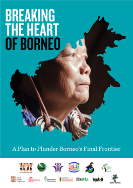 Breaking the Heart of Borneo