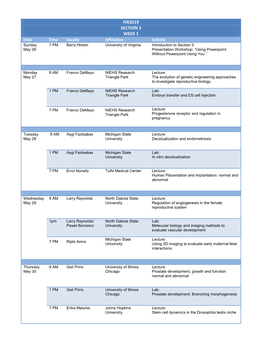 Fir2019 Section 3 Week 1