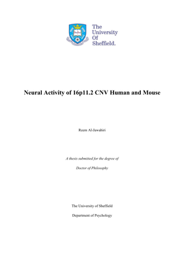 Neural Activity of 16P11.2 CNV Human and Mouse