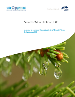 Smartbpm Vs. Eclipse IDE