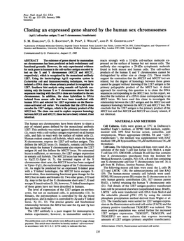 Cloning an Expressed Gene Shared by the Human Sex Chromosomes (Xgtll/Ceil-Surface Antigen/X and Y Chromosomes/Transfectants) S