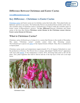 Difference Between Christmas and Easter Cactus Key Difference