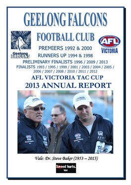 2013 Annual Report