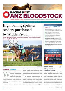 High-Balling Sprinter Anders Purchased by Widden Stud | 2 | Thursday, September 17, 2020