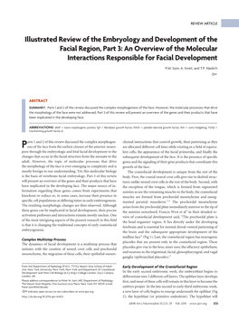 Illustrated Review of the Embryology and Development of the Facial Region, Part 3: an Overview of the Molecular Interactions Responsible for Facial Development