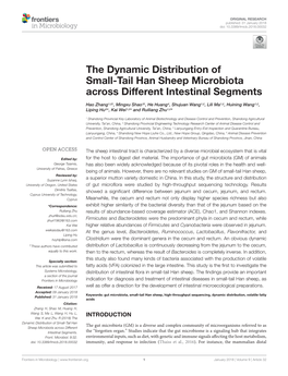 The Dynamic Distribution of Small-Tail Han Sheep Microbiota Across Different Intestinal Segments