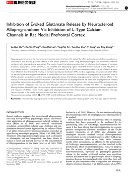 Inhibition of Evoked Glutamate Release by Neurosteroid Allopregnanolone Via Inhibition of L-Type Calcium Channels in Rat Medial Prefrontal Cortex