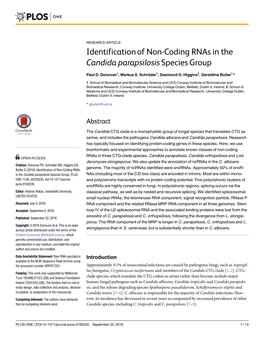 Identification of Non-Coding Rnas in the Candida Parapsilosis Species Group