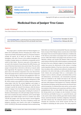 Medicinal Uses of Juniper Tree Cones