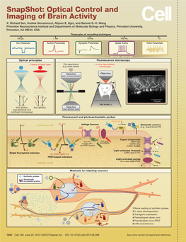 Snapshot: Optical Control and Imaging of Brain Activity X