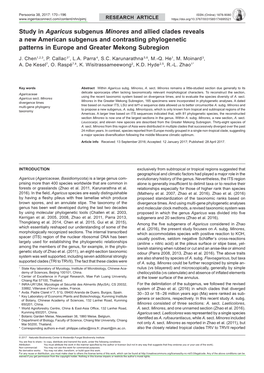 Study in <I> Agaricus</I> Subgenus <I> Minores</I> and Allied Clades