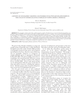 A Review of Geographic Variation and Possible Evolutionary Relationships in the Colias Scudderii-Gigantea Complex of North America (Pieridae)