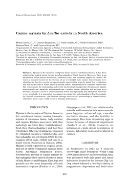 Canine Myiasis by Lucilia Eximia in North America