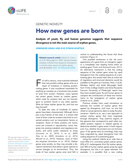 How New Genes Are Born