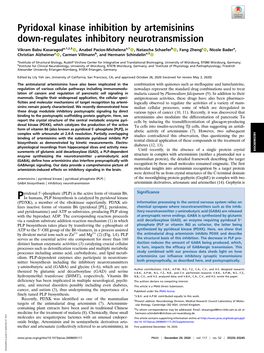 Pyridoxal Kinase Inhibition by Artemisinins Down-Regulates Inhibitory Neurotransmission