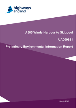 Preliminary Environmental Information Report