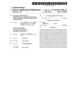 (12) Patent Application Publication (10) Pub. No.: US 2010/0311905 A1 Mentink Et Al