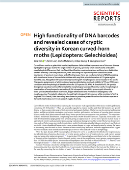 High Functionality of DNA Barcodes and Revealed Cases of Cryptic