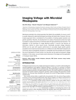 Imaging Voltage with Microbial Rhodopsins