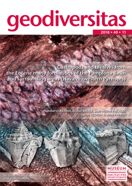 Gastropods and Bivalves from the Eocene Marly Formations of the Pamplona Basin and Surrounding Areas (Navarre, Western Pyrenees)