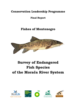 Fishes of Montenegro
