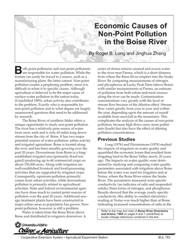 Economic Causes of Non-Point Pollution in the Boise River