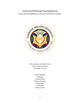 2019: Analyzing Pittsburgh Gun Regulation