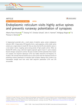 Endoplasmic Reticulum Visits Highly Active Spines and Prevents Runaway Potentiation of Synapses ✉ Alberto Perez-Alvarez 1 , Shuting Yin1, Christian Schulze1, John A