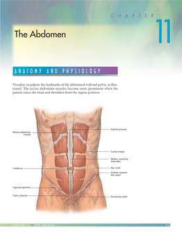 The Abdomen 1011