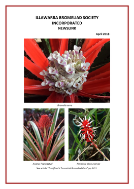 Illawarra Bromeliad Society Incorporated Newslink