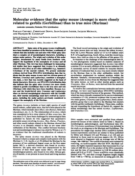 Molecular Evidence That the Spiny Mouse (Acomys) Is More Closely Related to Gerbils (Gerbillinae) Than to True Mice (Murinae)