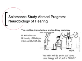 The Cochlea, Transduction, and Auditory Periphery, Lecture 1.Pdf