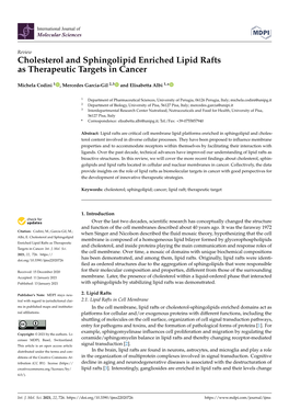 Cholesterol and Sphingolipid Enriched Lipid Rafts As Therapeutic Targets in Cancer