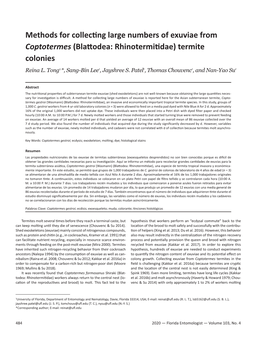 (Blattodea: Rhinotermitidae) Termite Colonies