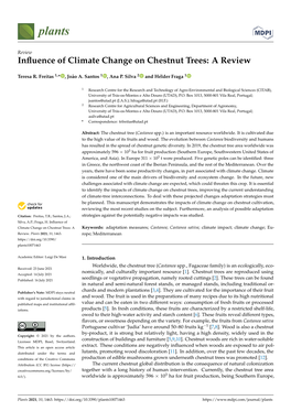 Influence of Climate Change on Chestnut Trees: a Review