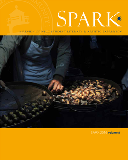 SPARK 2016 Volume 8 Sparked by Inspiration